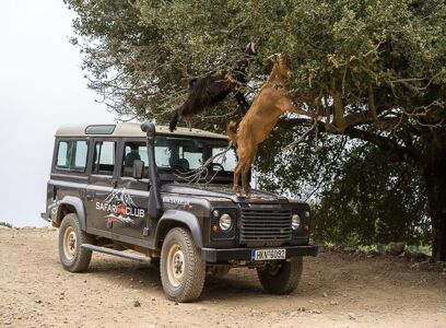 Tours in Crete - Safari en Land Rover sur la route Minoenne vers le plateau de Lassithi avec chauffeur professionnel et déjeuner 